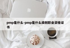pmp是什么-pmp是什么级别职业资格证书