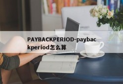 PAYBACKPERIOD-paybackperiod怎么算