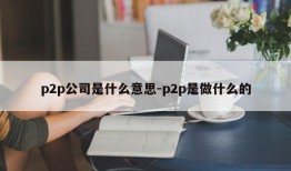 p2p公司是什么意思-p2p是做什么的
