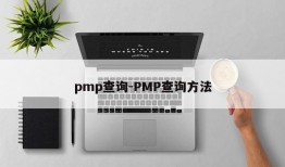 pmp查询-PMP查询方法