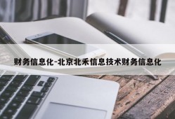 财务信息化-北京北禾信息技术财务信息化